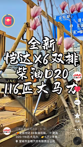 全新愷達(dá)X6柴油雙排，德威D20-116匹大馬力。
